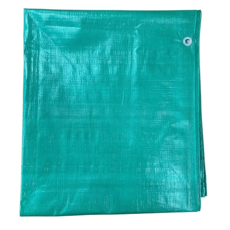 T.W. Evans Cordage Co. 8 ft. x 10 ft. Black/Green Contractor Grade Value Poly Tarp G0810